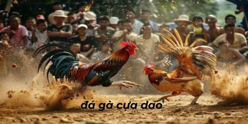 da ga cua dao 67ae13510e803