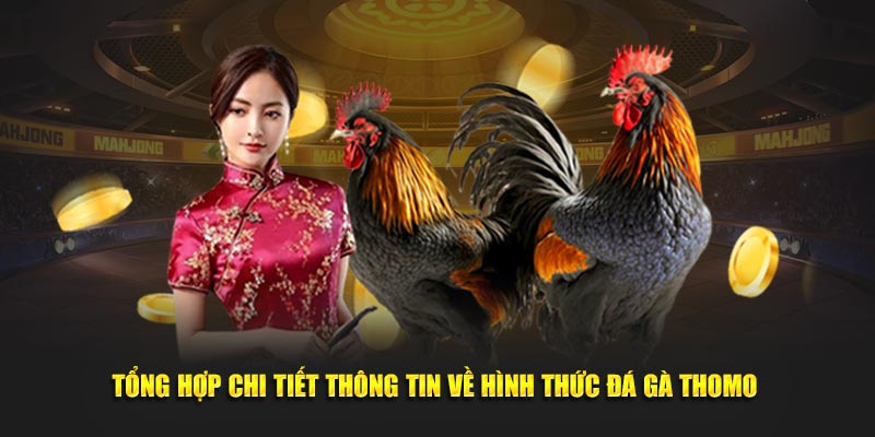 da ga thomo 67ae102459911